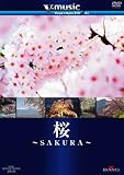 ���`SAKURA�` V-music01 [DVD]