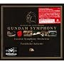 GUNDAM 30th ANNIVERSARY GUNDAM SYMPHONY(��������)(DVD�t)