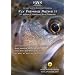 Fly Fishing Paths II