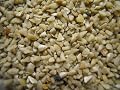 Fine Sunflower Hearts