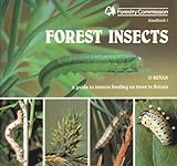 Forest insects