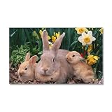 38.5 x24.5 Wall Vinyl Sticker Spring Easter Rabbits