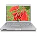 Compaq Presario C502US 15.4" Laptop (Celeron M Processor 440, 512 MB RAM, 80 GB Hard Drive, DVD/CD Combo Drive, Vista Basic)