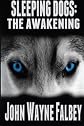 Sleeping Dogs: The Awakening