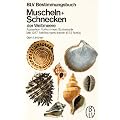 Muscheln + Schnecken der Weltmeere