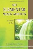 Produkt-Bild: Mit Elementarwesen arbeiten: Zum Wohle der Erde