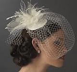 Anya Bridal Birdcage Veil