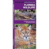 florida wildlife a folding guide to familiar animals pocket naturalist guide series