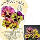 �p���W�[�F���[�������[�W���E�x�C�V�b�N�^�C�v�E�S�[���h�~�b�N�X3.5���|�b�g4���Z�b�g[�C�^���A�E�t�@�[������][MPS]