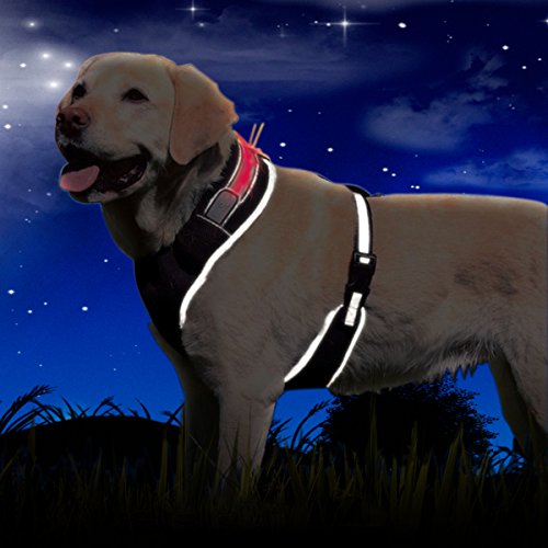 Top 5 Best anti jump harness for dogs for sale 2016 Product BOOMSbeat