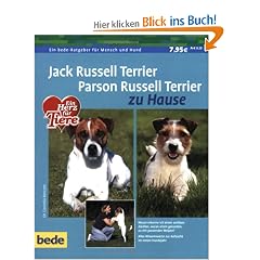 Jack Russell Terrier und Parson Russell Terrier zu Hause