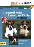 Jack Russell Terrier und Parson Russell Terrier zu Hause