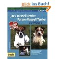 Jack Russell Terrier und Parson Russell Terrier zu Hause