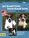 Jack Russel Terrier. Parson Russel Terrier zu Haus