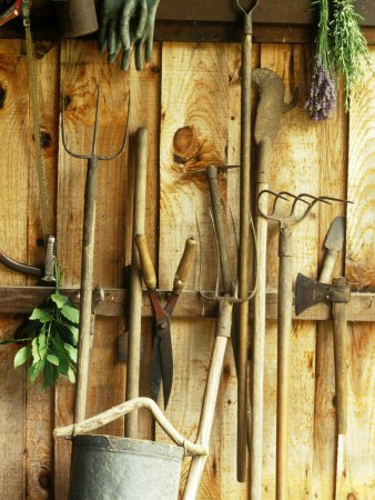 Garden Tools Hanging in Shed