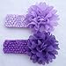 Cuddle Baby Girl's Elastic Headbands with Chiffon Flower Petal (Pack of 10)