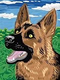 Eigenschaften SES creative 01507 / SES creative 01507 - Malen nach Zahlen Schäferhund