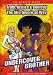 Undercover Brother: Truth, Justice & Comedy - The Afro-American Way