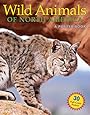 Wild Animals of North America (Poster Books)