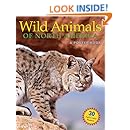Wild Animals of North America (Poster Books)