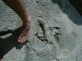 Human Tracks Preserved in Rock That Date Back 117,000 Years Ago National Geographic Collection Photographic Poster Print by Kenneth Garrett, 64x48