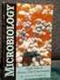 Microbiology: High School Science Fair Experiments
