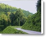 Round The Corner Canvas Print / Canvas Art - Artist Cindy Gacha