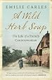 Wild Herb Soup