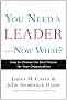 You Need a Leader--Now What?: How to Choose the Best Person for Your Organization