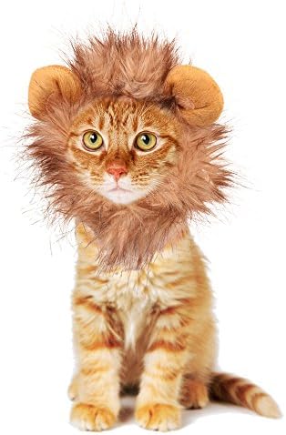 Rocpet Pet Costume Lion Mane Wig for Dog Cat Halloween Dress up with Ears (panda)