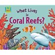 What Lives in Coral Reefs? (Animal Habitats) by  Oona Gaarder-Juntti