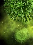 Virus Closeup Microscope View - 60