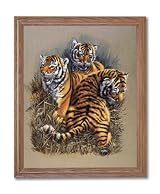 African Tiger Cat Cubs Kids Rooms Animal Wildlife Home Decor Wall Picture Oak Framed Art Print