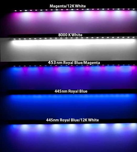 Ecoxotic Stunner White LED Aquarium Strip Light, 24