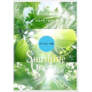 �O�����C���[�W A505 �T���V���C���O���[�� [�_�E�����[�h]