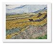 Vincent van Gogh, Enclosed Field with Ploughman