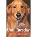 In Dog We Trust - Canine Art +  Philosophy