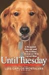 Until Tuesday: A Wounded Warrior and...