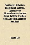 Cyatheales: Cibotium, Cnemidaria, Cyathea, Cyatheaceae, Dicksoniaceae, Cyathea Subg. Cyathea, Cyathea Sect. Alsophila, Cibotium Me-