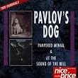 Pampered Menial/At The Sound Of The Bell
