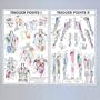 Trigger Points I and II Laminated Chart/Posters