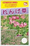 日光種苗　れんげ草種子　5ｄL入