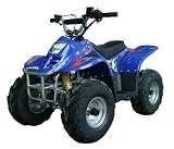ATV 110cc Mid Size