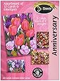 Divinity Boutique Greeting Card Assortment - Anniversary (18003N)