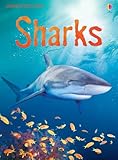 Sharks
