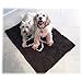 Walky Dog Dirty Dog Rug Microfiber Extra Thick Dog Pet Doormat Anti Slip Backing Super Absorbent (Chocolate, L 35.5