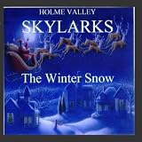 The Winter Snow