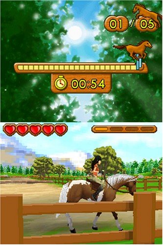 Ener-G Horse Rider image