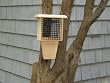 Coveside Woodpecker Suet Feeder