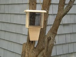 Coveside Woodpecker Suet Feeder